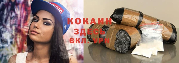 apvp Гусев