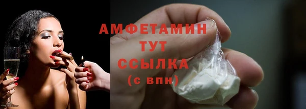 молекула духа Вязьма