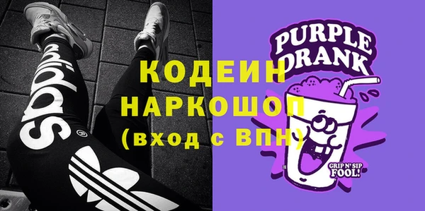индика Тихвин